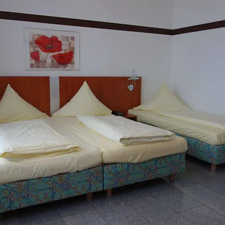 Parkhotel Friedrichstrasse Giessen