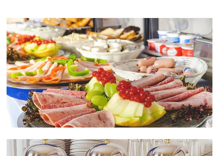 弗瑞德彻斯查瑟公园酒店 3* Gießen