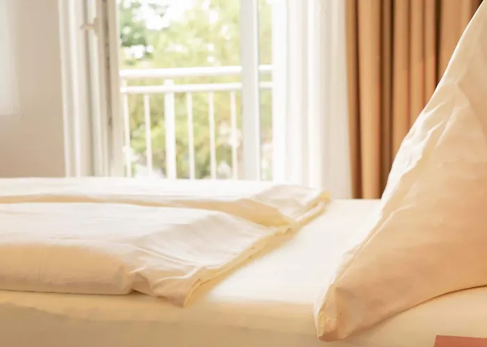 酒店 弗瑞德彻斯查瑟公园酒店 3*